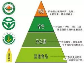 政策重磅！決定農化行業未來十年走向的國家級政策與人工智能雙創服務平臺